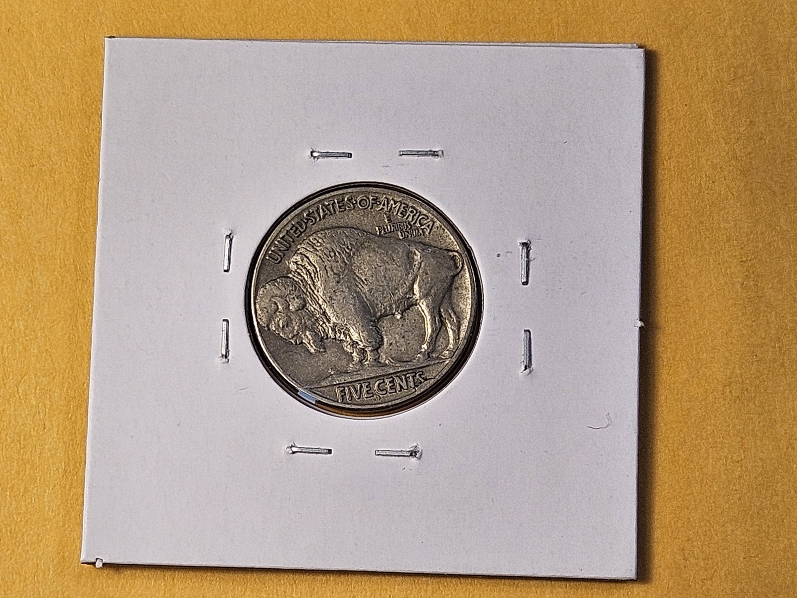 Better Date 1915-D Buffalo Nickel - 3
