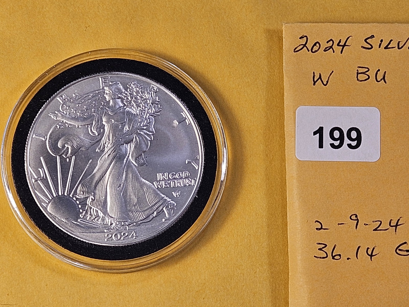 GEM Brilliant Uncirculated 2024 American Silver Eagle - 2