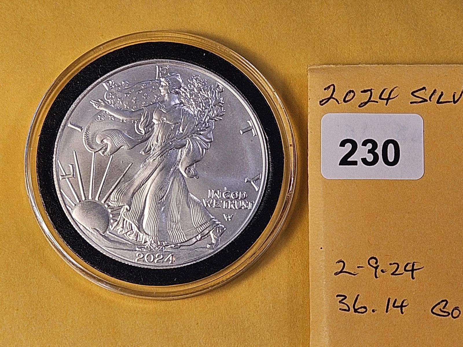 GEM Brilliant Uncirculated 2024 American Silver Eagle - 2