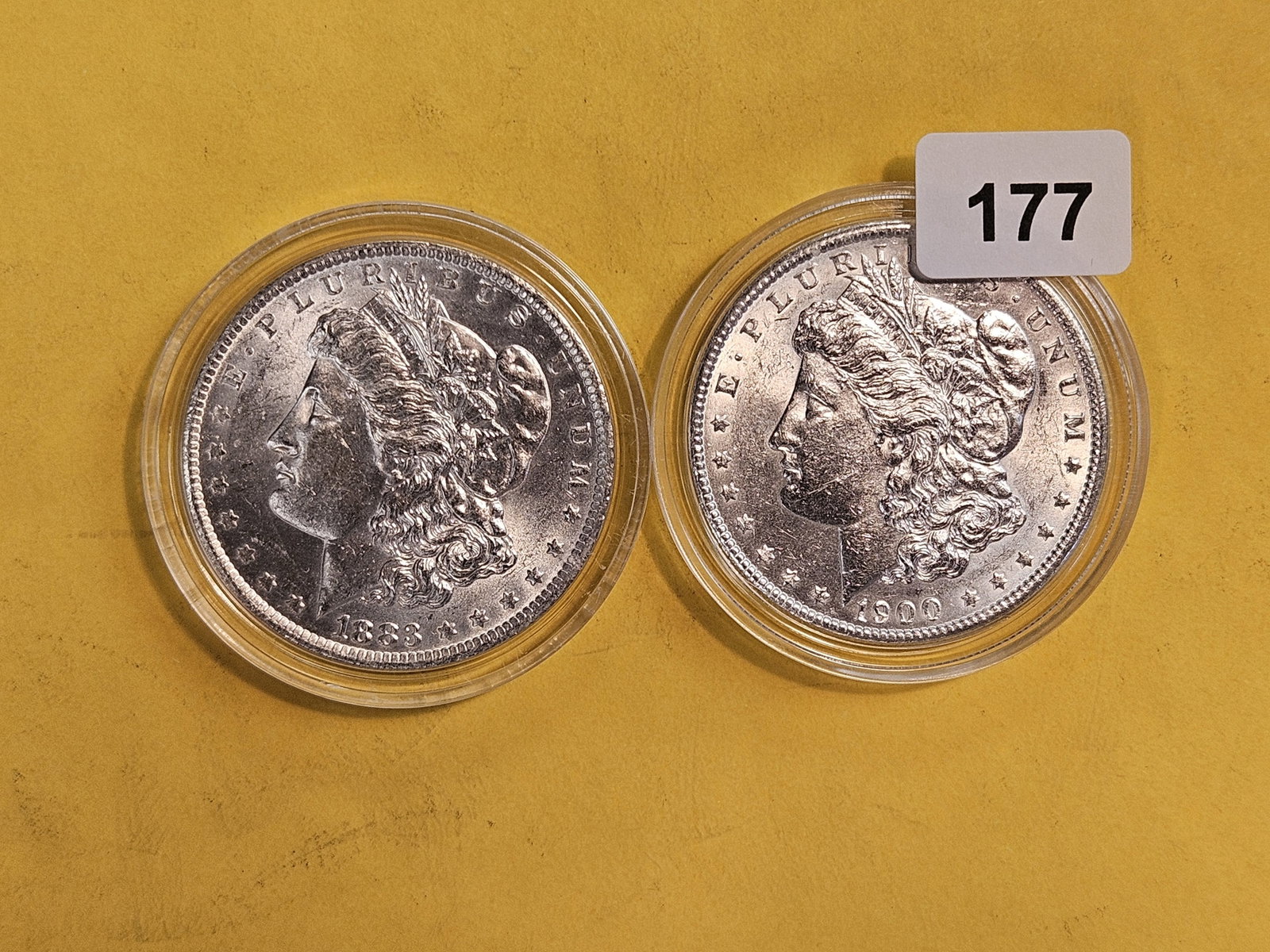 Two Brilliant About Uncirculated plus Morgan Dollars: 1883-O and 1900