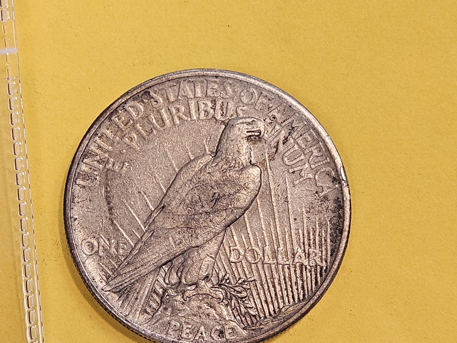 ** KEY DATE ** 1921 Peace Silver Dollar in Extra Fine - 3
