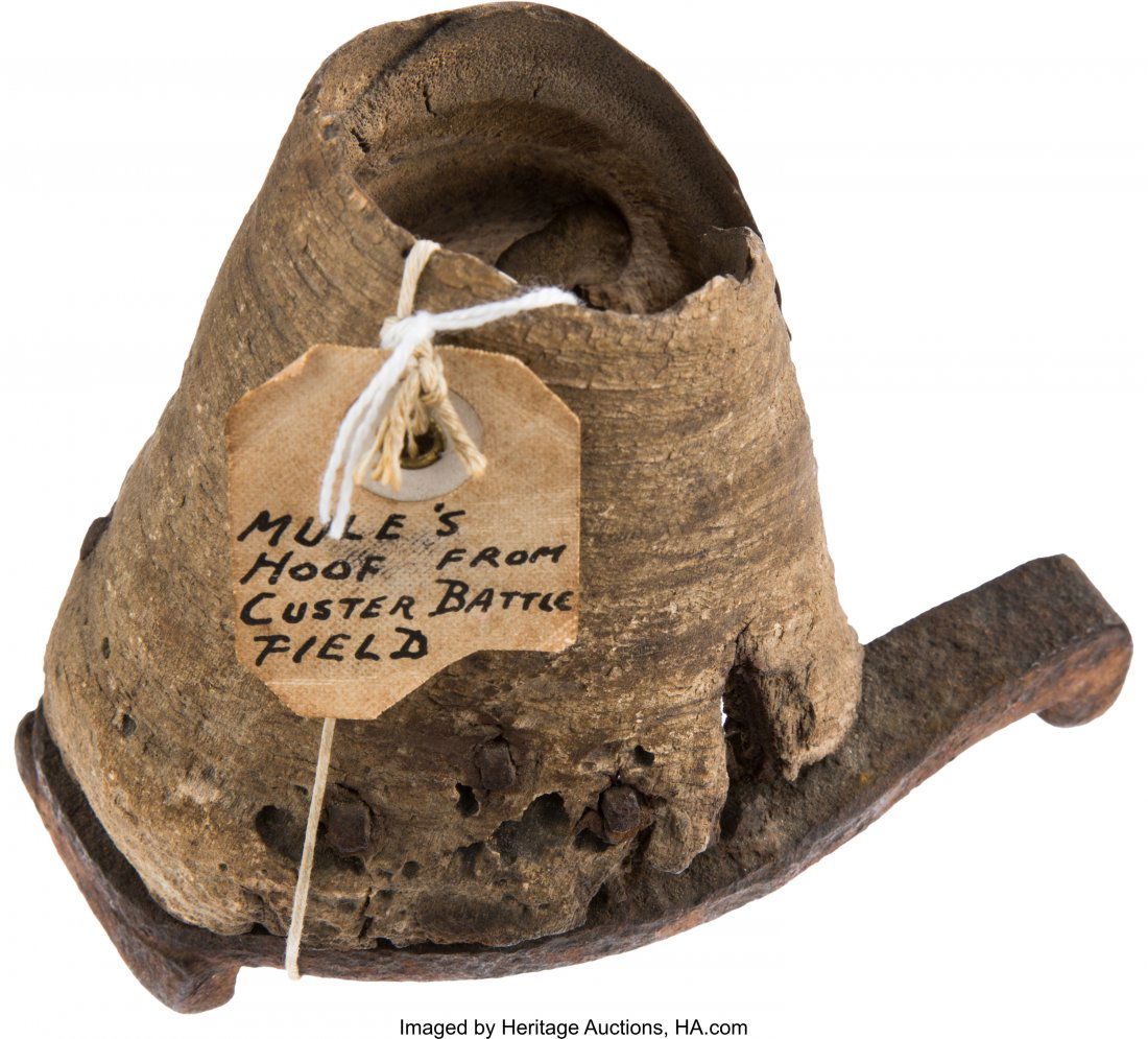 US 7th Cavalry Mule Hoof and Iron Shoe with Old (1 of 3)