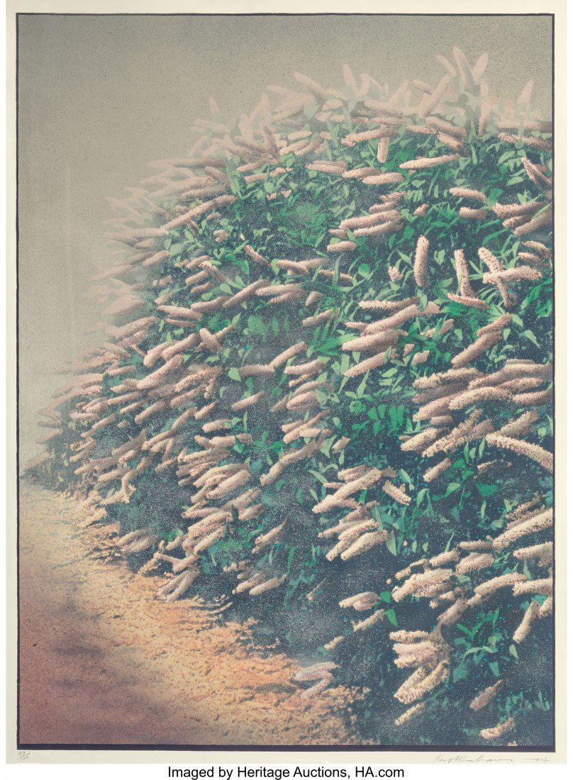 Ivor Abrahams (British, b. 1935) Hedges , 1977 S: Ivor Abrahams (British, b. 1935)Hedges , 1977Screenprint in colors on