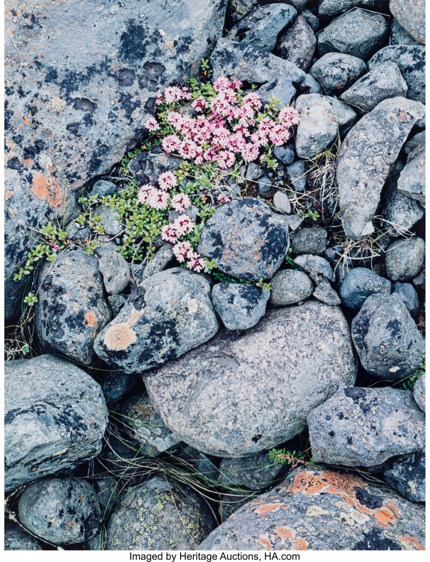 Eliot Furness Porter (American, 1901-1990) Icela: Eliot Furness Porter (American, 1901-1990) Iceland, Portfolio II (two