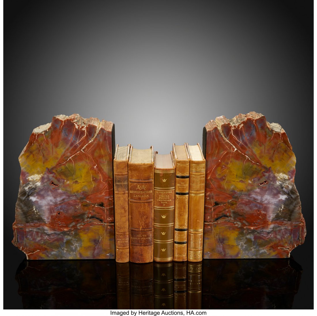 Petrified Conifer Bookends Araucarioxylon Triass (1 of 2)