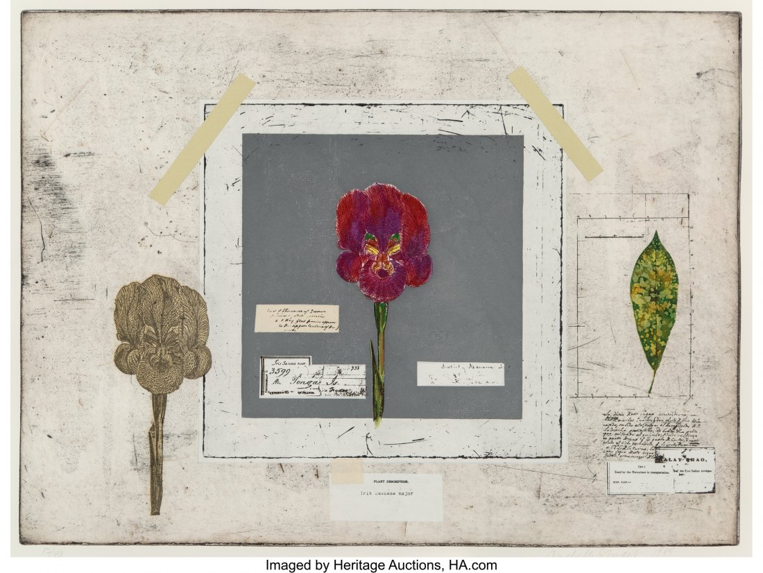 Michelle Stuart (American, b. 1933) Voyage to th: Michelle Stuart (American, b. 1933) Voyage to the South, 1989 Etching and aquatint in colors on wove paper 17-3/4 x 24 inches (45.1 x 61 cm) (image) Ed. 12/40 Signed, numbered, and dated in pencil alo