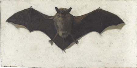 ASCRIBED TO MAXFIELD PARRISH (American 1870 - 19