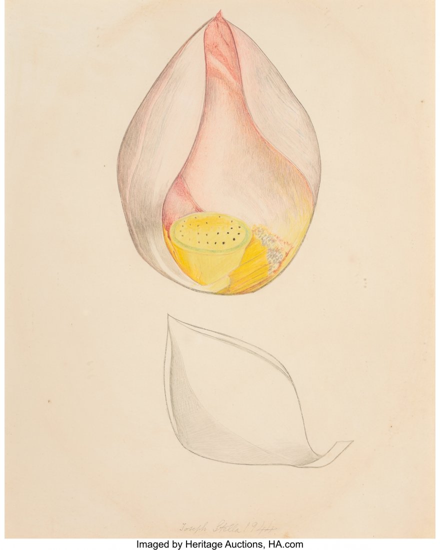 Joseph Stella (American, 1877-1946) Dissection o: Joseph Stella (American, 1877-1946) Dissection of a Lotus, 1944 Silverpoint and crayon on paper 14 x 11-1/8 inches (35.6 x 28.3 cm) (sheet) Signed and dated lower center: Joseph Stella 1944 PROVENANCE