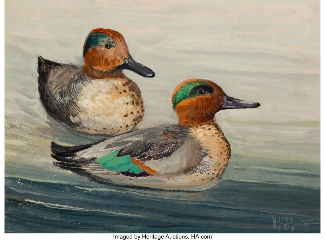 William Howard Shuster (American, 1893-1969) Gre: William Howard Shuster (American, 1893-1969) Green Wing Teal, 1953 Oil on board 12 x 16 inches (30.5 x 40.6 cm) Signed and dated lower right: Will Shuster / 53 Signed, dated, and inscribed on the reve