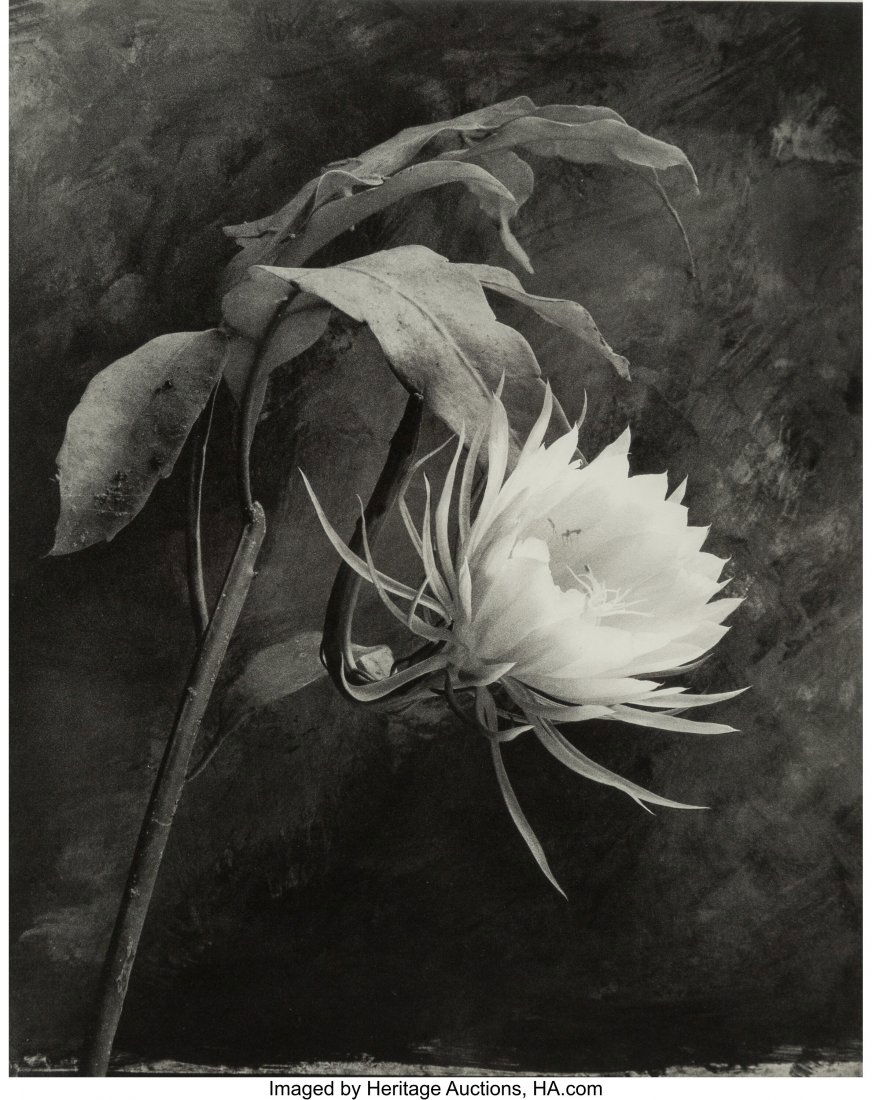 Cy DeCosse (American, 1929) Queen of the Night,: Cy DeCosse (American, 1929) Queen of the Night, 1999 Photogravure 13 x 10-1/4 inches (33.0 x 26.0 cm) Signed and editioned 57/150 in pencil, lower margin recto. HID03101062020 © 2020 Heritage Auc