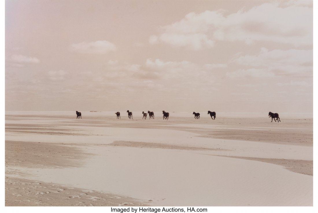 Roberto Dutesco (Canadian/Romanian, 1961) On the: Roberto Dutesco (Canadian/Romanian, 1961) On the Run, Sable Island, 1994 Dye coupler, printed 2007 16 x 24 inches (40.6 x 61.0 cm) Signed, dated, and editioned 15/30 in ink, mount verso. HID0310106202