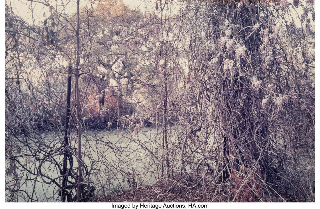 Len Jenshel (American, 1949) Avery Island, Louis: Len Jenshel (American, 1949) Avery Island, Louisiana, 1984 Dye coupler 12-3/4 x 19 inches (32.4 x 48.3 cm) Signed, titled, and dated in ink, verso. PROVENANCE: Lawrence Miller Gallery, New York; Acqui