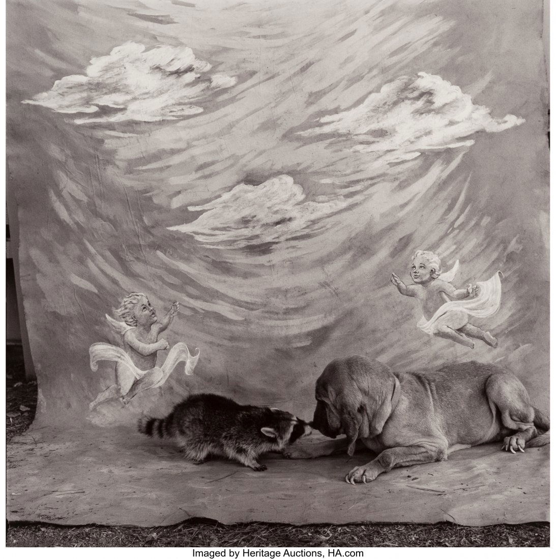 Keith Carter (American, 1948) Bloodhound and Rac: Keith Carter (American, 1948) Bloodhound and Raccoon, 1989 Toned gelatin silver on Agfa paper 14 x 14 inches (35.6 x 35.6 cm) Signed in pencil, lower margin recto. Titled and dated in pencil, verso. H