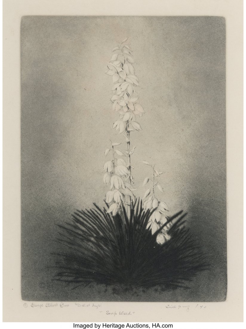 George Elbert Burr (American, 1859-1939) Soap We: George Elbert Burr (American, 1859-1939) Soap Weed and Canyon (two works) Etching on paper 6-3/4 x 4-7/8 inches (17.1 x 12.4 cm) (Soap Weed, image) 4-3/4 x 6-3/4 inches (12.1 x 17.1 cm) (Canyon, image