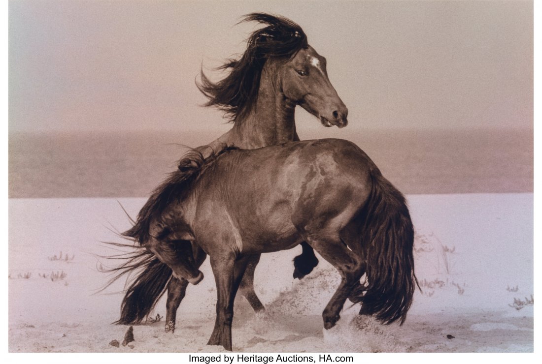 Roberto Dutesco (Canadian/Romanian, 1961) Fury (: Roberto Dutesco (Canadian/Romanian, 1961) Fury (from Sable Island series), 1994 Toned gelatin silver, printed 2007 16 x 23-1/2 inches (40.6 x 59.7 cm) Signed, titled, dated, and editioned 20/30 in ink
