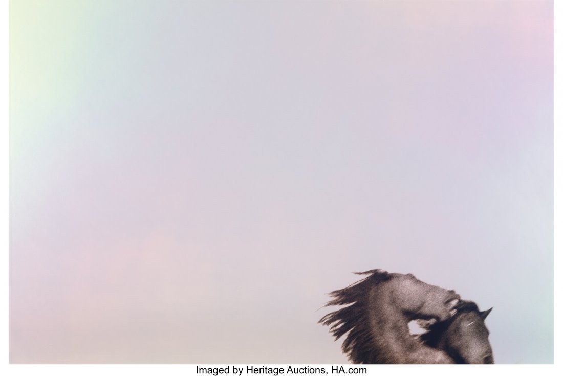 Roberto Dutesco (Canadian/Romanian, 1961) Sable: Roberto Dutesco (Canadian/Romanian, 1961) Sable Island, 1994 Toned gelatin silver print, printed 2007 16 x 24 inches (40.6 x 61.0 cm) Signed, titled, dated, and editioned 17/30 in ink, verso. HID03101