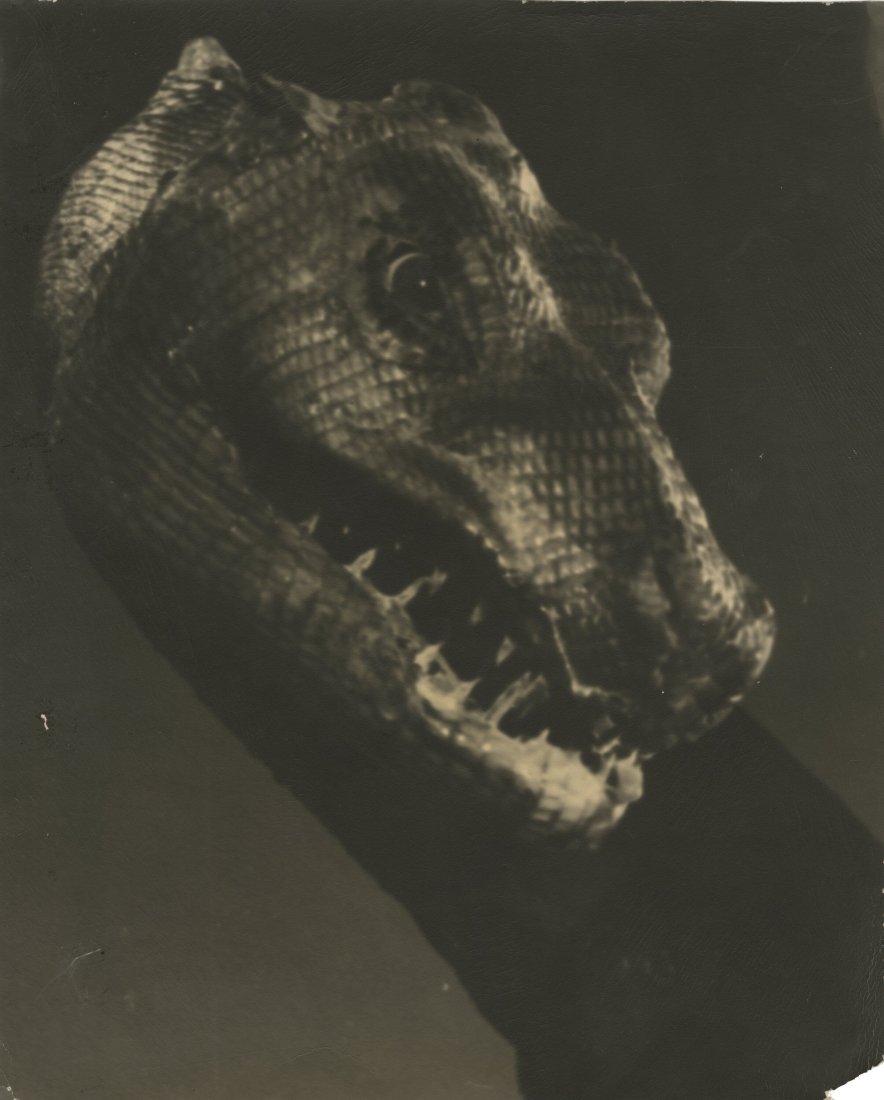 Willis O'Brien's Personal Collection of (40) Pho: Willis O'Brien's Personal Collection of (40) Photos from The Giant Behemoth (Allied Artists, 1959). Vintage original scrapbook of gelatin silver photographs on single and double-weight paper ranging i