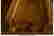 item-108070840=2