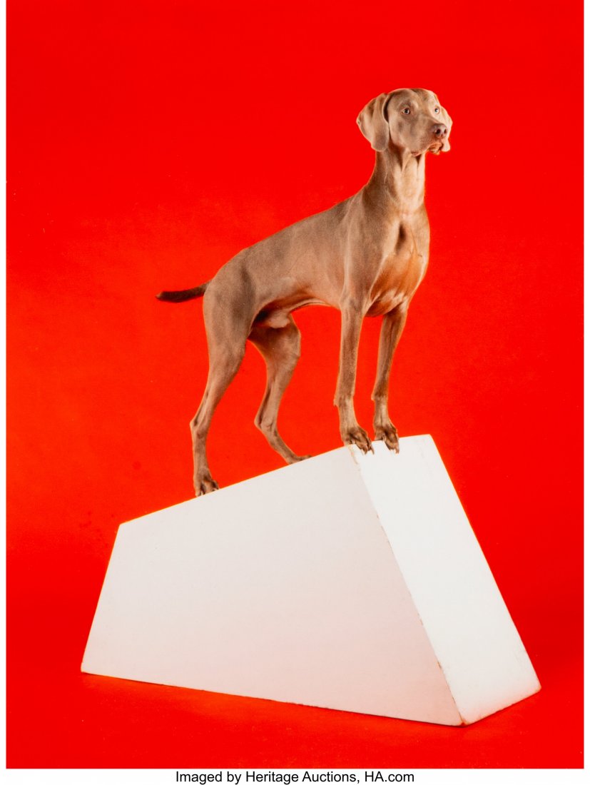 William Wegman (American, 1943) So Inclined, 201: William Wegman (American, 1943) So Inclined, 2014 Digital pigment print 9-7/8 x 7-1/2 inches (25.1 x 19.1 cm) (image) 11 x 8-1/2 inches (sheet) Signed, titled, dated, and editioned 8/30 in ink, lower
