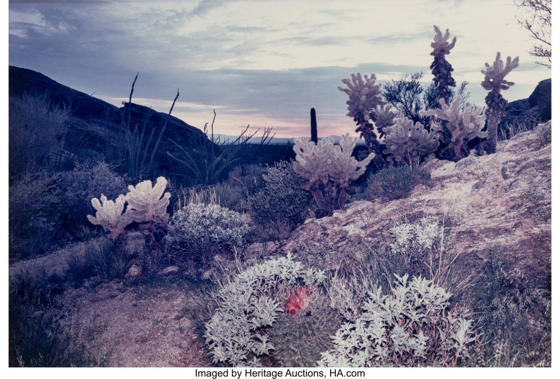 Len Jenshel (American, 1949) Saguaro National Mo: Len Jenshel (American, 1949) Saguaro National Monument, Arizona, 1986 Dye coupler print on Kodak Ektacolor paper 12-3/4 x 19 inches (32.4 x 48.3 cm) (image) 16 x 20 inches (sheet) Signed, titled, and