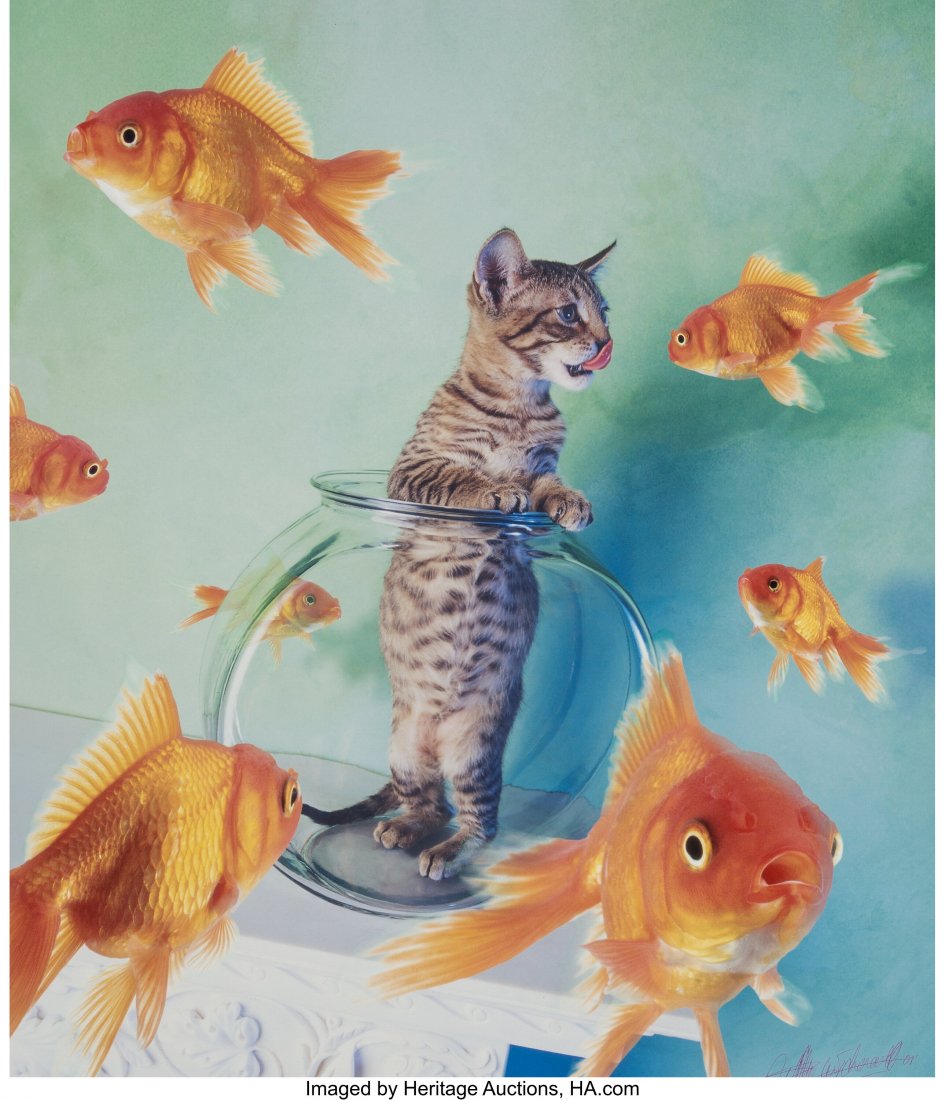 Michel Tcherevkoff (French, 20th/21st Century) K: Michel Tcherevkoff (French, 20th/21st Century) Kitten in a Bowl with Goldfish, 2001 Dye coupler print 17 x 14-1/2 inches (43.2 x 36.8 cm) (image) 20 z 16 inches (sheet) Signed and dated in ink in the 