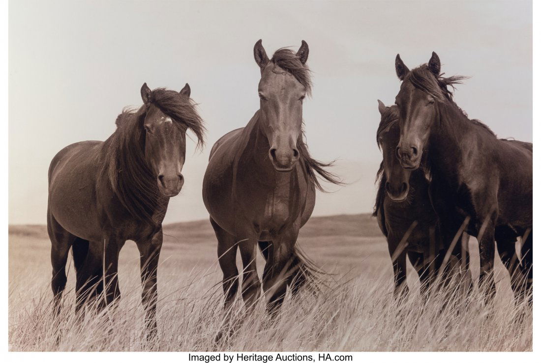 Roberto Dutesco (Canadian/Romanian, 1961) Native: Roberto Dutesco (Canadian/Romanian, 1961) Natives, Sable Island, 1994 Dye coupler print, printed 2007 16 x 24 inches (40.6 x 61.0 cm) (image/sheet) Signed, titled, dated, and editioned 20/30 in ink, m