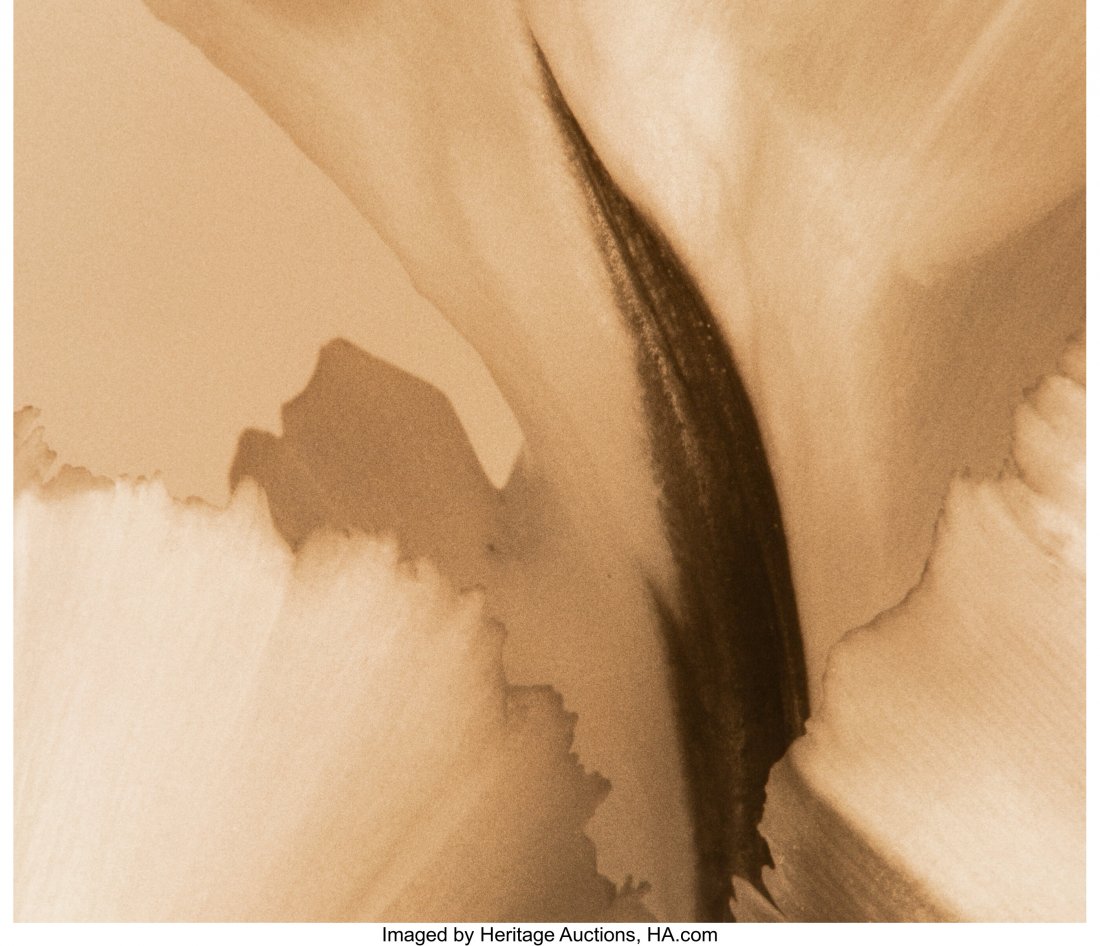 Frederic Ohringer (American, 1940) Eternal Flame: Frederic Ohringer (American, 1940) Eternal Flame, 1993 Sepia toned gelatin silver print 9-3/8 x 11 inches (23.8 x 27.9 cm) (image) 11 x 14 inches (sheet) Signed, dated, and editioned 6/25 in pencil, l