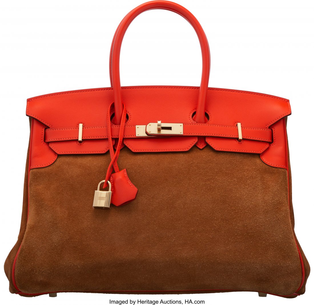 Hermès Limited Edition 35cm Chamois Doblis Sued (1 of 5)