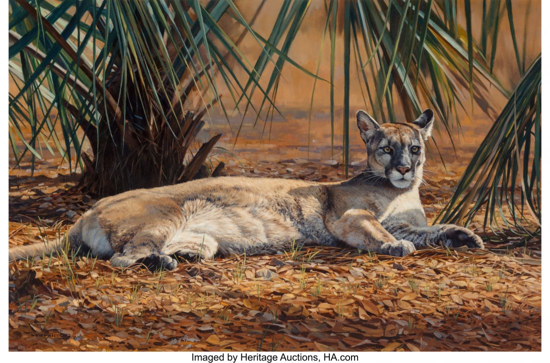 Dino Paravano (Italian/American, b. 1935) Florid: Dino Paravano (Italian/American, b. 1935) Florida Panther, 1992 Oil on canvas 24 x 36 inches (61.0 x 91.4 cm) Signed and dated lower left: Dino Paravano / 1992 HID03101062020 © 2020 Heritage Auct