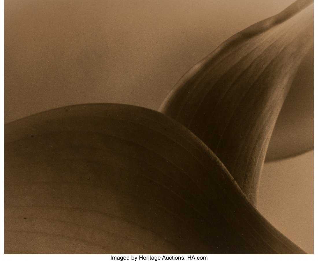 Frederic Ohringer (American, 1940) Pegasus, 1993: Frederic Ohringer (American, 1940) Pegasus, 1993 Toned gelatin silver print 7-3/4 x 9-1/2 inches (19.7 x 24.1 cm) (image) 11 x 14 inches (sheet) Signed, dated, and editioned 4/25 in pencil, lower marg