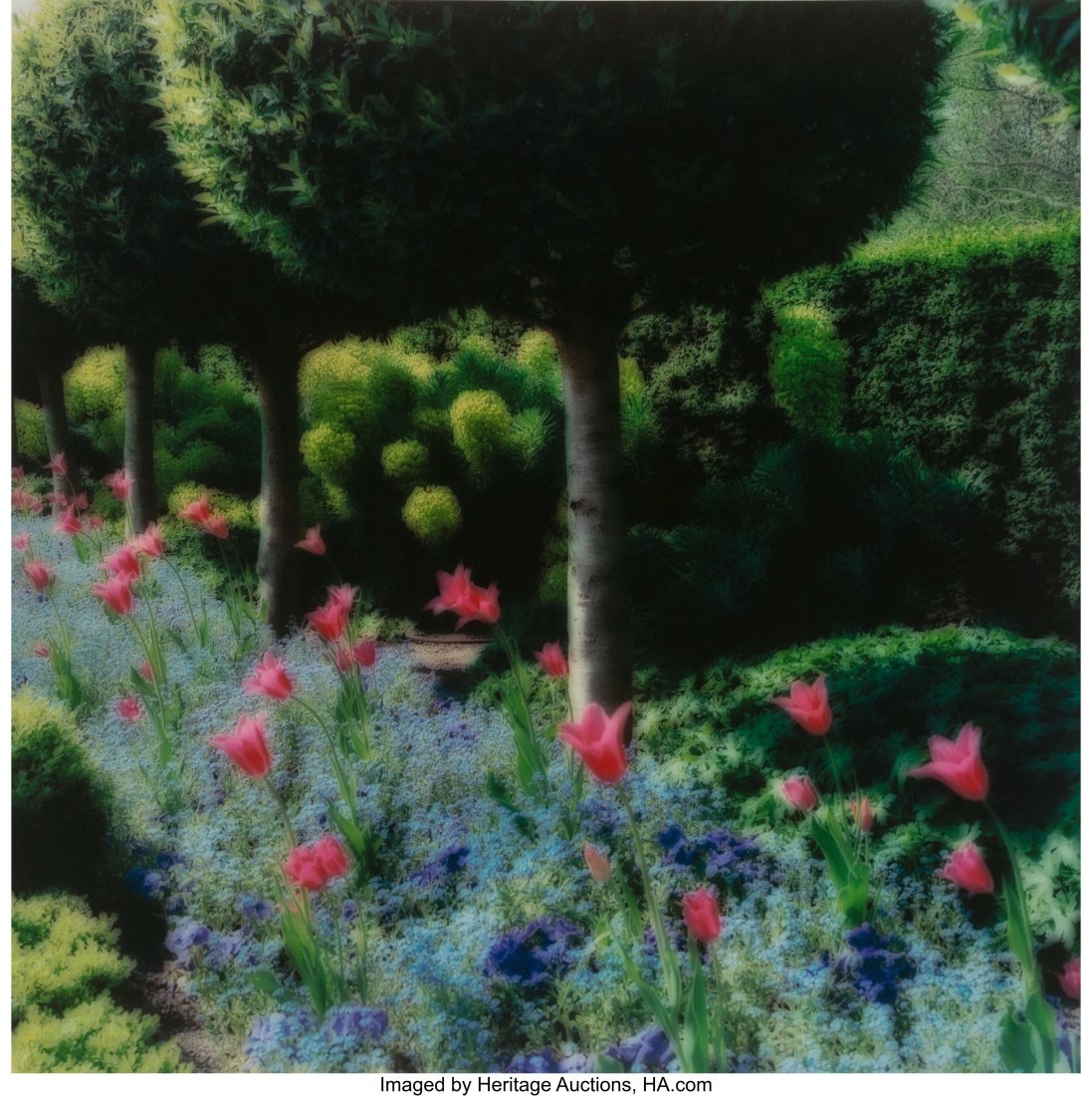 Lynn Geesaman (American, 1938) Parc de Sceaux, F: Lynn Geesaman (American, 1938) Parc de Sceaux, France, 2004 Digital pigment print 28 x 28 inches (71.1 x 71.1 cm) (image) Signed in ink an