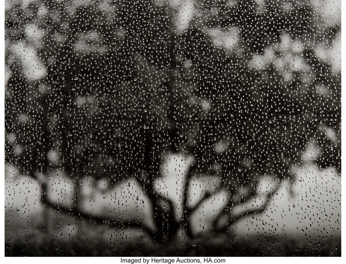 Ruth Bernhard (American, 1905-2006) Apple Tree, : Ruth Bernhard (American, 1905-2006) Apple Tree, 1973 Gelatin silver print, printed later 10-1/8 x 13-1/4 inches (25.7 x 33.7 cm) (image