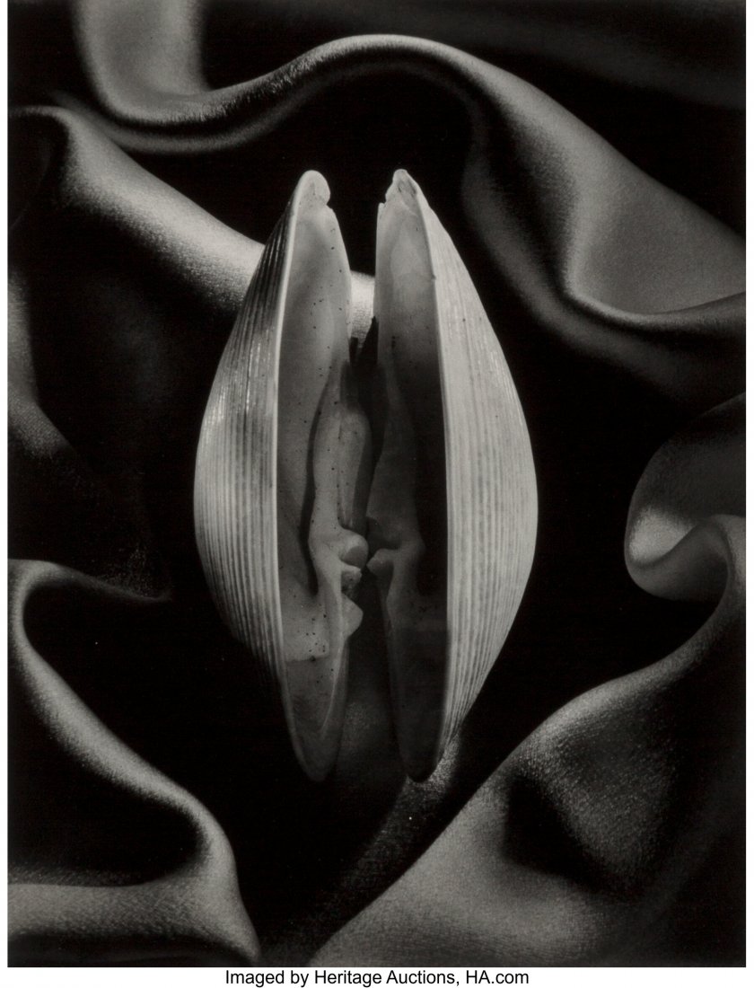Ruth Bernhard (American, 1905-2006) Shell in Sil: Ruth Bernhard (American, 1905-2006) Shell in Silk, 1939 Gelatin silver print, printed later 13-3/8 x 10-1/4 inches (34.0 x 26.0 cm) (im
