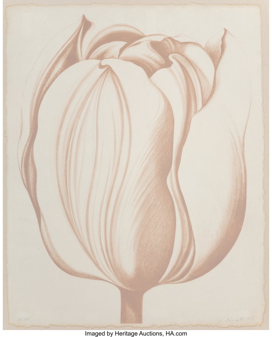Lowell Nesbitt (1933-1993) Tulip: Sandstone, 197: Lowell Nesbitt (1933-1993) Tulip: Sandstone, 1976 Lithograph in colors on paper 38 x 31 inches (96.5 x 78.7 cm) (sheet) A.P. 2&sol