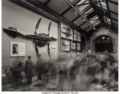 Matthew Pillsbury (b. 1973) Fossils, Museum of N: Matthew Pillsbury (b. 1973) Fossils, Museum of Natural History, London, 2007 Digital pigment print 12-1/4 x 15-1/2 inches (31.1 x 39.4 cm&