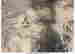item-131069220=3