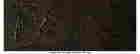 item-131674649=5
