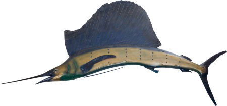 Ernie Kovacs' and Edie Adams' Sailfish.: Ernie Kovacs' and Edie Adams' Sailfish. Full-size sailfish, approximately nine feet in le