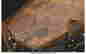 item-135909567=4