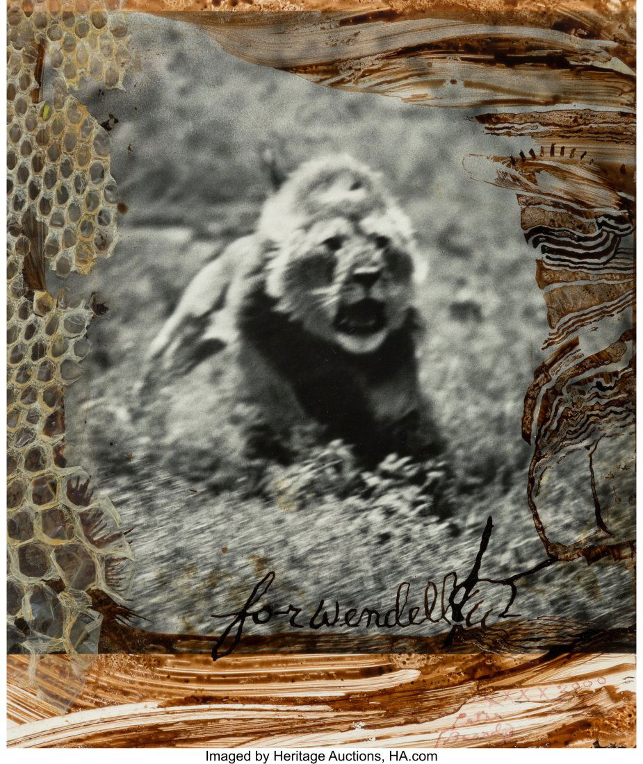 Peter Beard (American, 1938-2020) Lion Charge Ne: Peter Beard (American, 1938-2020) Lion Charge Near Ndutu Triangle, Southern Serengeti, 1976 Gelatin silver print with ink, blood, and snakeskin, printed 2
