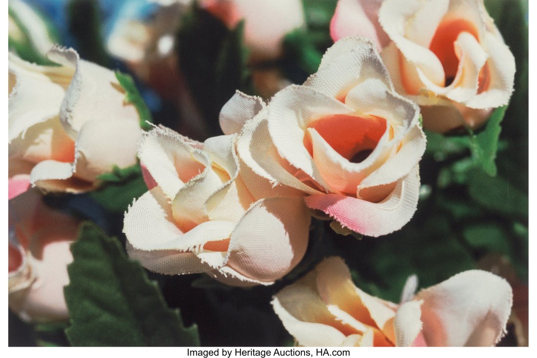 William Eggleston (American, b. 1939) Untitled (: William Eggleston (American, b. 1939) Untitled (Fake Roses, Arizona), 2001 Digital pigment print 18 x 27 inches (45.7 x 68.6 cm) &l