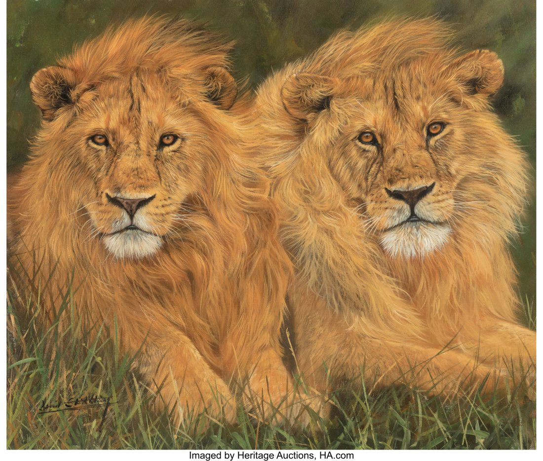 David Stribbling (British, b. 1959) Lions Oil on: David Stribbling (British, b. 1959) Lions Oil on canvas 20-1/2 x 23-1/2 inches (52.1 x 59.7 cm) Signed lower left: David Stribbling &NewLin