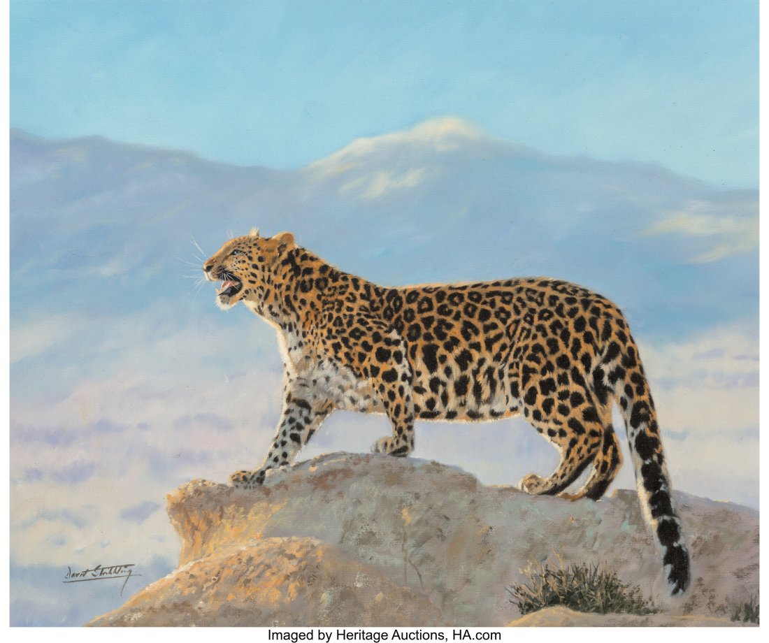 David Stribbling (British, b. 1959) Leopard Oil: David Stribbling (British, b. 1959) Leopard Oil on canvas 20 x 24 inches (50.8 x 61.0 cm) Signed lower left: David Stribbling HI
