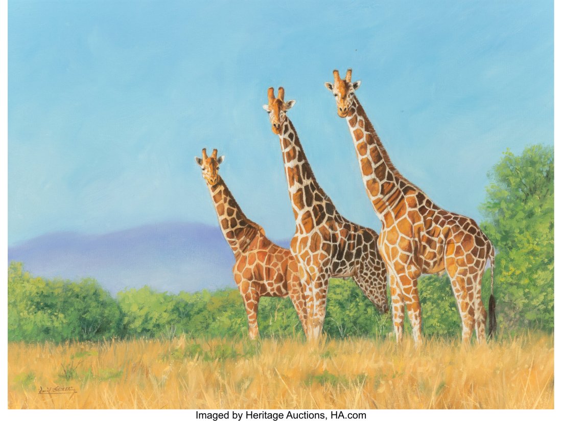David Stribbling (British, b. 1959) Giraffe Trio: David Stribbling (British, b. 1959) Giraffe Trio Oil on canvas 18 x 24 inches (45.7 x 61.0 cm) Signed lower left: David Stribbling &NewLi