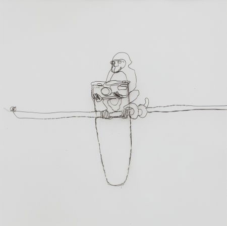 VIK MUNIZ (Brazilian, b. 1961) Homage to Darwin: VIK MUNIZ (Brazilian, b. 1961)Homage to Darwin (from the Darwin-Wire series), 1