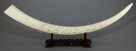 A CHINESE CARVED IVORY TUSK ON STAND 20th centu: A CHINESE CARVED IVORY TUSK ON STAND 20th century 39 inches long (99.1 cm) The