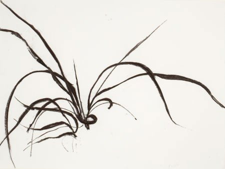 SUSAN HARTNETT (American, b. 1940) American dune: SUSAN HARTNETT (American, b. 1940)American dune grass, Leymus mollis #3, 2000