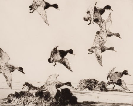 FRANK WESTON BENSON (American, 1862-1951) Ducks : FRANK WESTON BENSON (American, 1862-1951) Ducks Flying Etching Image: 8-3/