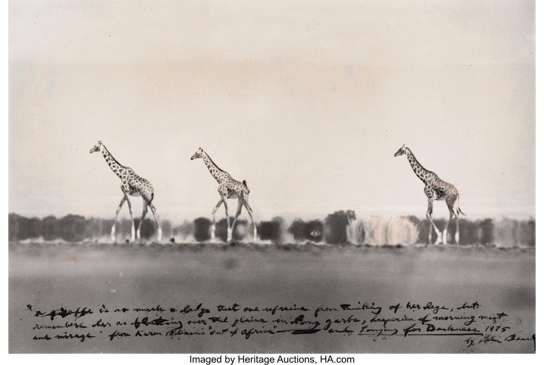 Peter Beard (American, 1938-2020) A Giraffe is S: Peter Beard (American, 1938-2020) A Giraffe is So Much a Lady, 1975 Gelatin silver print 12-3/4 x 19 inches (32.4 x 48.3 cm) (image/sheet&rpa