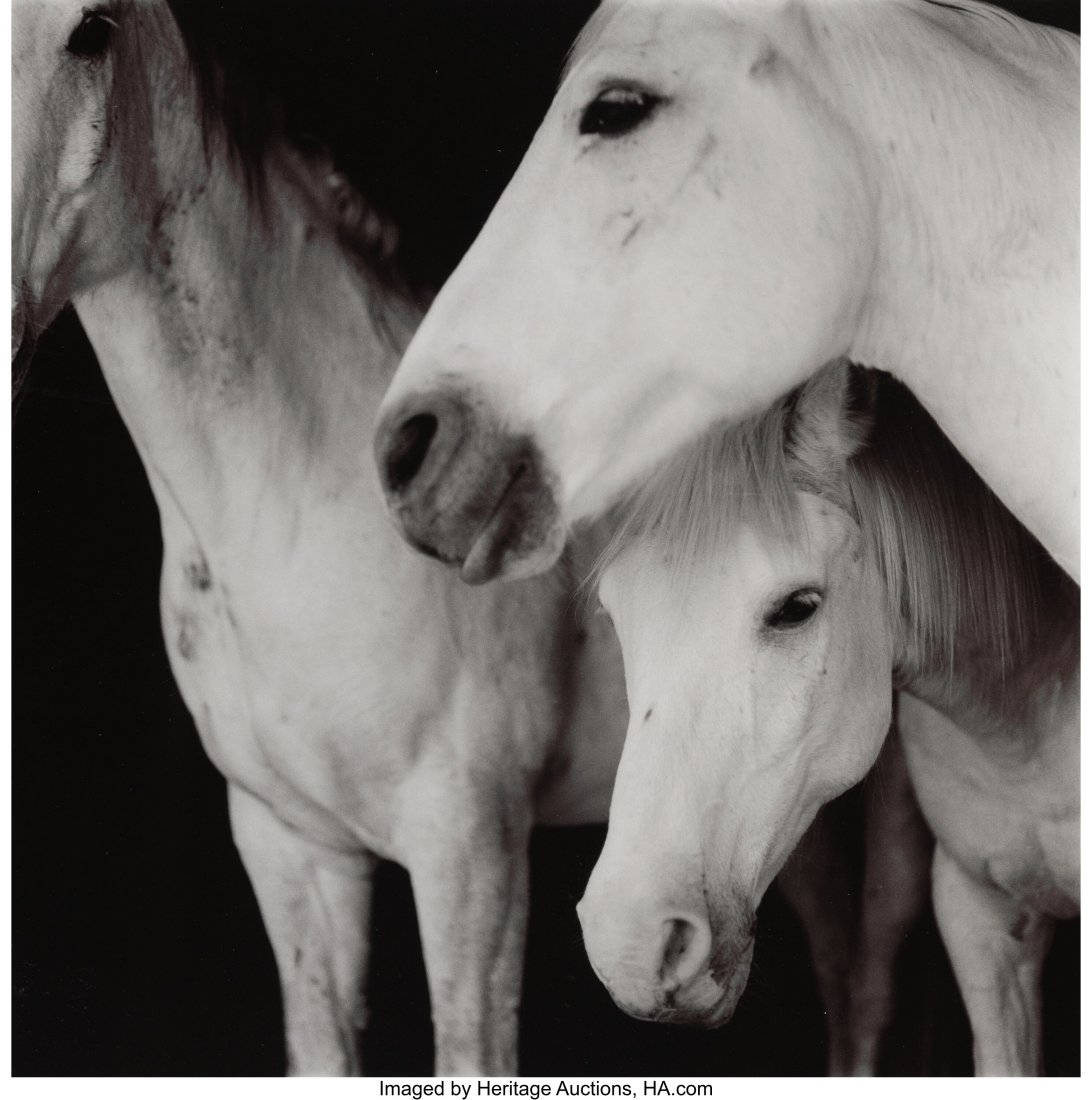 Keith Carter (American, b. 1948) Caballos Blanco: Keith Carter (American, b. 1948) Caballos Blancos, 1996 Gelatin silver print 15 x 15 inches (38.1 x 38.1 cm) (image) 20 x 16 inches &lpar